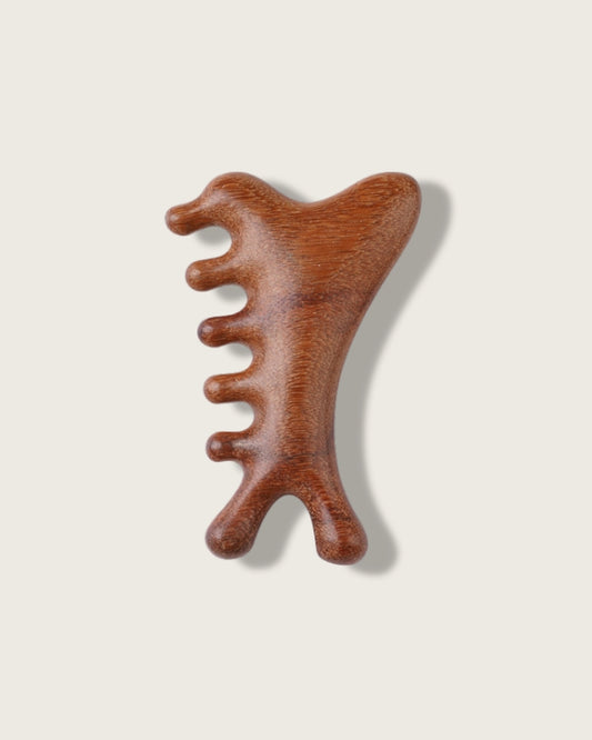 Wooden Multi-Function Meridian Comb
