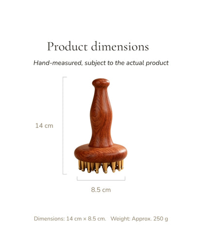 Dai Mai Massage Brush